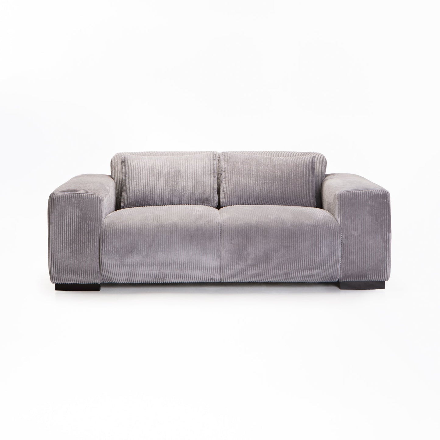 CATERINA FABRIC 2 SEATER COUCH